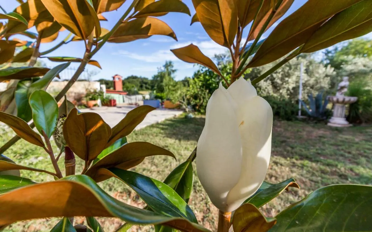 Apartment Mika Pula Croatia